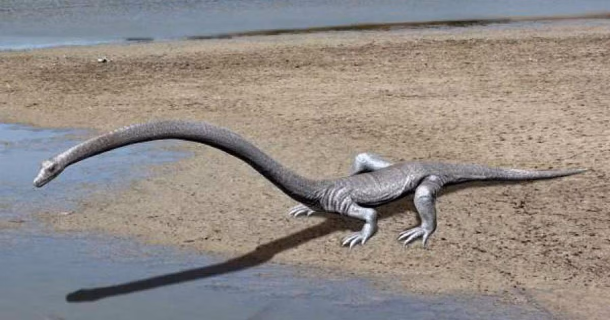 Tanystropheus là một loài bò sát cổ đại với ngoại hình kỳ lạ: dù dài khoảng 6 mét, nhưng hơn một nửa chiều dài cơ thể của nó lại thuộc về phần cổ. Sự mất cân đối này từng khiến các nhà cổ sinh vật học nhầm lẫn bộ xương của loài này với hai sinh vật khác nhau. Ảnh: Art Station