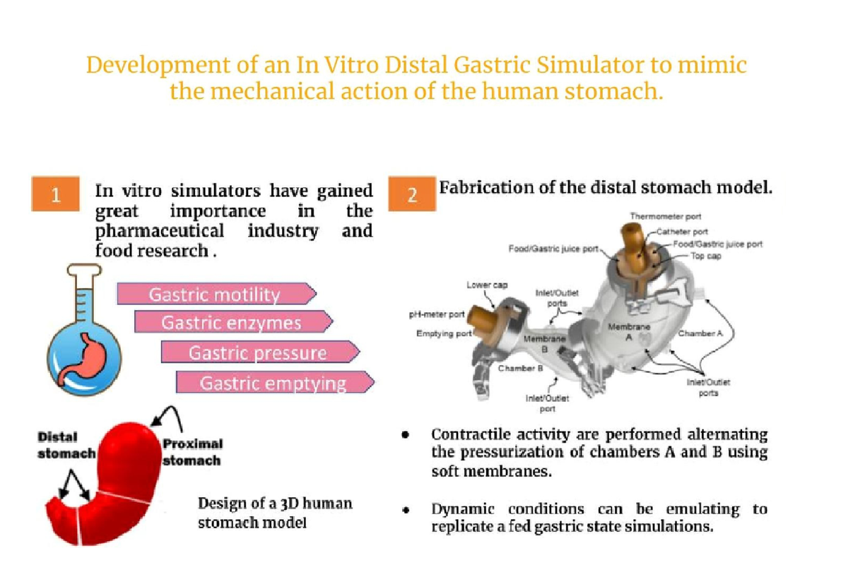 Sự phi thường của loài tê tê còn trở thành nguồn cảm hứng cho những đột phá công nghệ. Các kỹ sư đã mô phỏng cấu trúc dạ dày tê tê để phát triển một loại máy nghiền sinh học có thể xử lý rác thải điện tử với hiệu suất cao. Ảnh: Science Direct