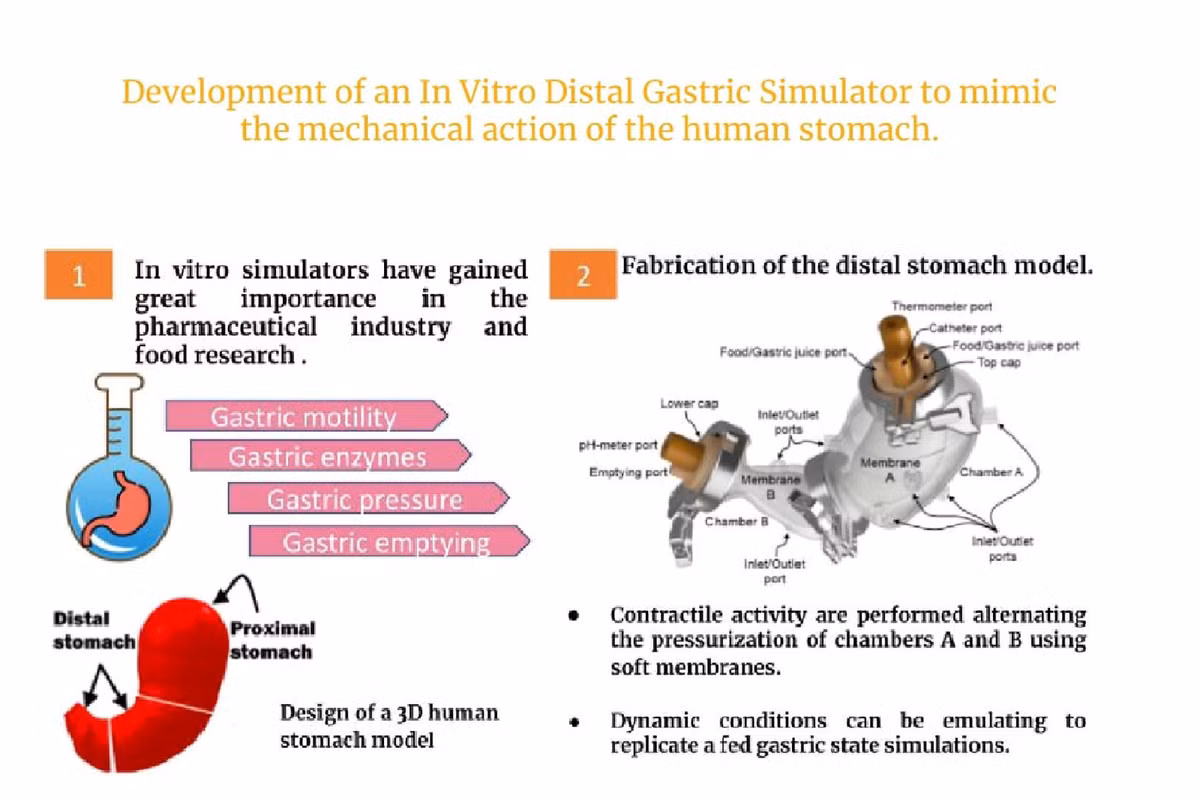 Sự phi thường của loài tê tê còn trở thành nguồn cảm hứng cho những đột phá công nghệ. Các kỹ sư đã mô phỏng cấu trúc dạ dày tê tê để phát triển một loại máy nghiền sinh học có thể xử lý rác thải điện tử với hiệu suất cao. Ảnh: Science Direct