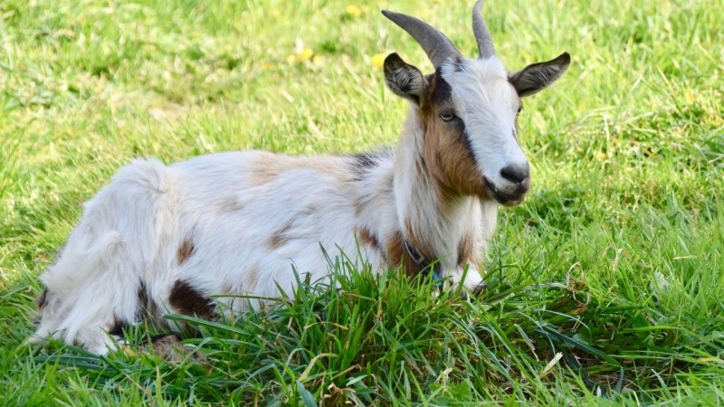  Trong khi chấp nhận hỗ trợ, bạn cũng cần tiếp tục cải thiện khả năng của mình và chú ý đến sự chăm sóc về mặt tình cảm của gia đình bạn. (*Bài viết chỉ mang tính chất tham khảo và chiêm nghiệm).