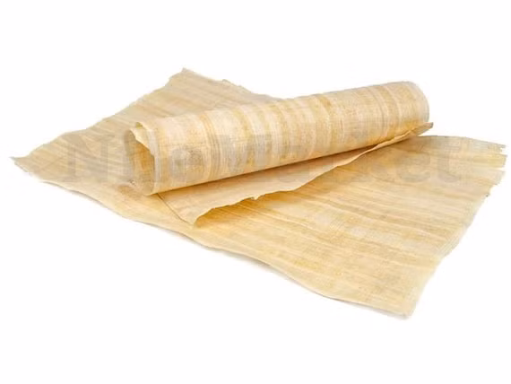 Giấy cói có thể đã được phát minh ra ngay cả trước Thời kỳ Sơ triều đại. Tấm giấy cói cổ nhất từng được tìm thấy được tạo ra trong Triều đại thứ tư, khoảng 4500 năm trước. Đồng thời với giấy, mực cũng được người Ai Cập cổ đại sử dụng. Ảnh: Now History