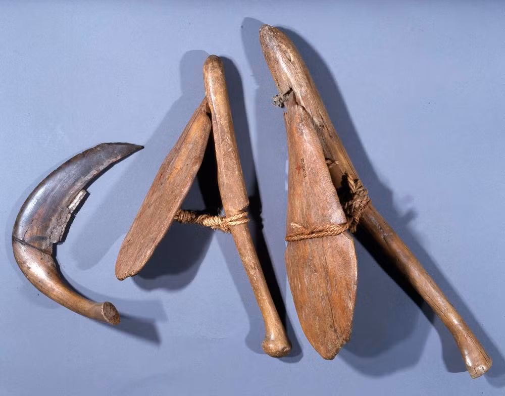 Văn hóa Qadan ở Thượng Ai Cập (khu vực phía nam nằm ở thượng nguồn so với Hạ Ai Cập) có thể là nền văn hóa đầu tiên trên thế giới phát minh ra liềm để thu hoạch ngũ cốc. Họ cũng đã phát minh ra đá mài độc lập với các nền văn hóa khác sử dụng chúng. Ảnh: Bảo tàng Vương quốc Anh