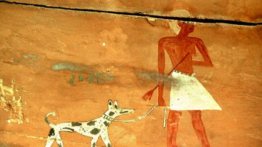 Những đồ gốm đầu tiên bắt đầu xuất hiện vào khoảng năm 5000 trước Công nguyên, cùng thời điểm mà người dân ở khu vực này bắt đầu nuôi các loài động vật như dê, cừu, lợn và gia súc. Một hình ảnh được tạo ra ở Ai Cập gần sáu nghìn năm trước mô tả một người đàn ông dắt chó đi dạo. Ảnh: Spigel