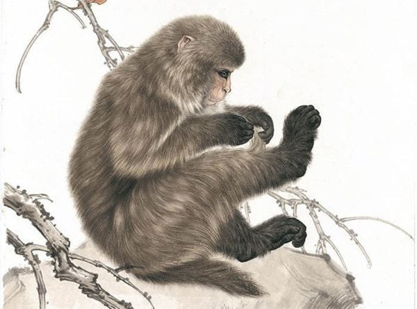  Người xưa nói: "Khỉ thông minh, có thể trèo cây cao". Năm nay, những người tuổi Thân sẽ có những bước đột phá lớn trong sự nghiệp nhờ trí tuệ và các mối quan hệ. 