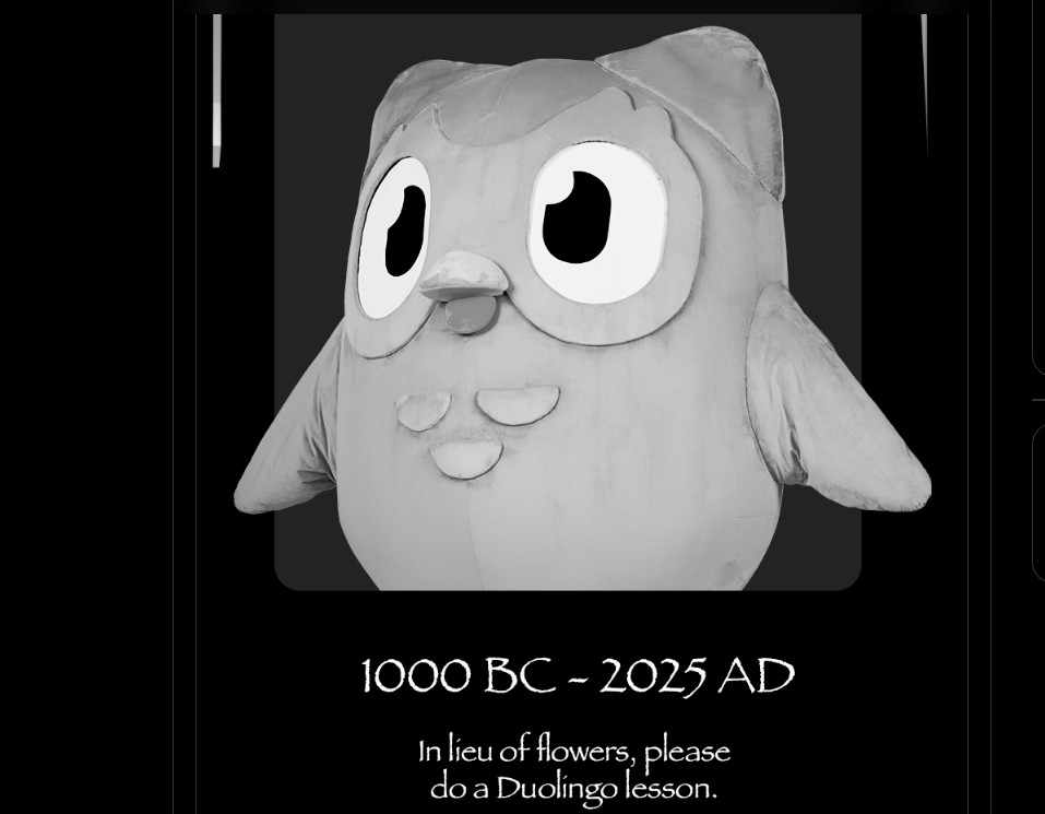 Linh vat cu cua Duolingo bi khai tu, nguoi dung tiec hui hui-Hinh-2