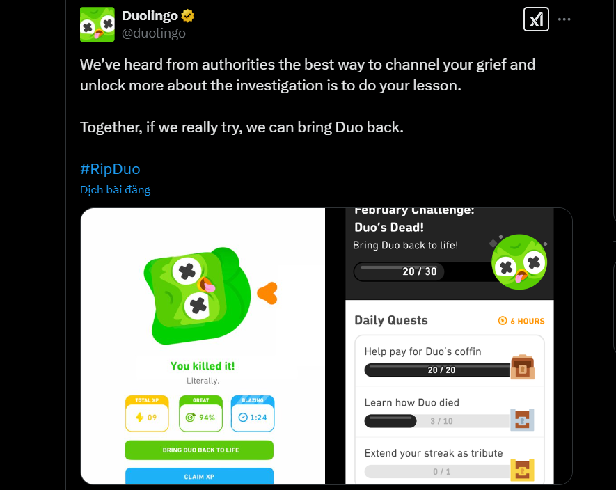 Linh vat cu cua Duolingo bi khai tu, nguoi dung tiec hui hui