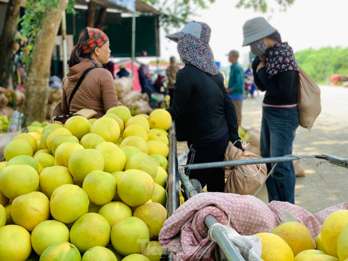 Bưởi Phúc Trạch lâu nay được xem là cây trồng chủ lực, phát triển kinh tế chính của người dân huyện Hương Khê. Không chỉ xóa đói giảm nghèo, loài quả đặc sản này còn giúp nhiều gia đình trở nên khá giả.