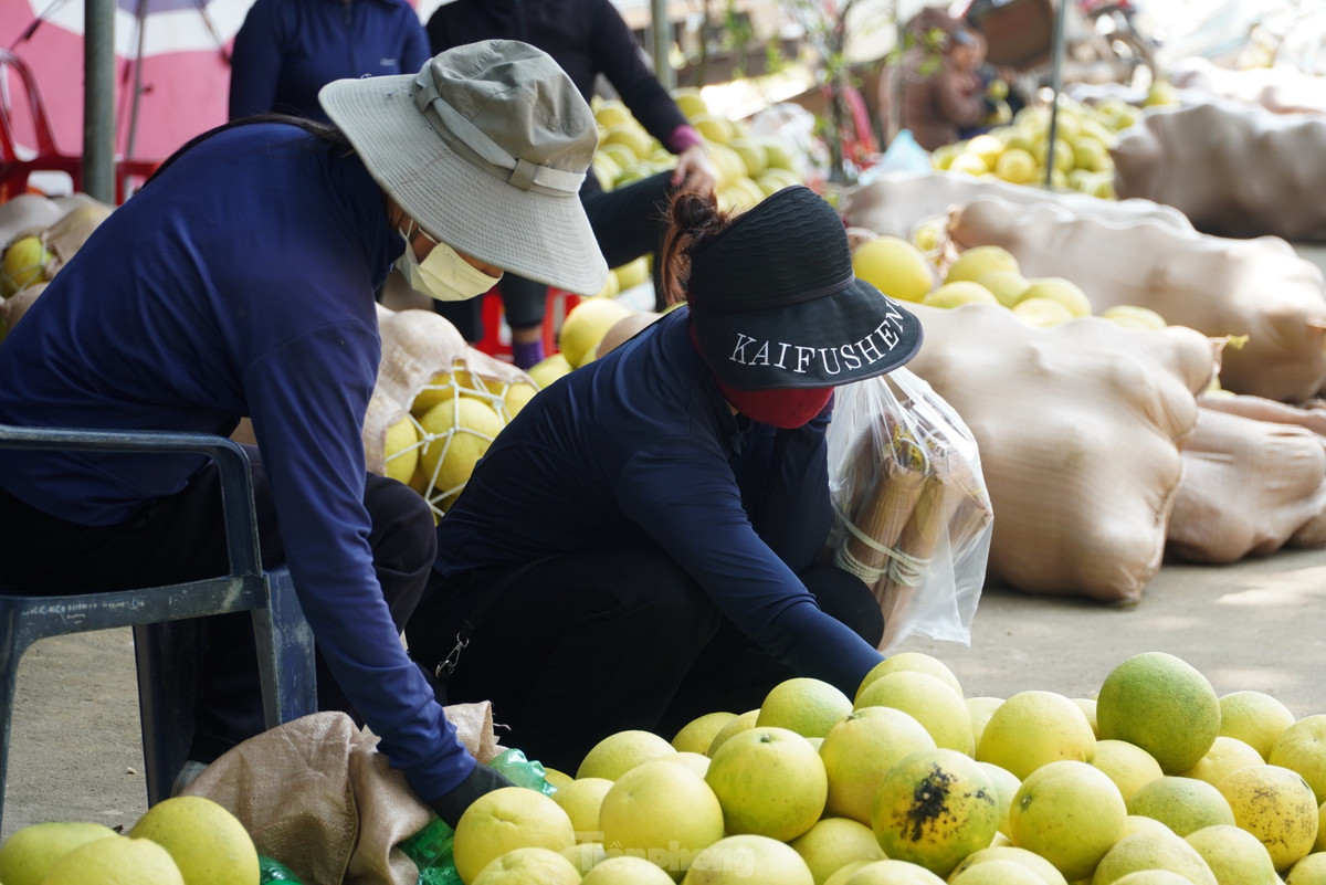Những ngày này người dân trồng bưởi thu hoạch, mang ra khu vực này để bán.