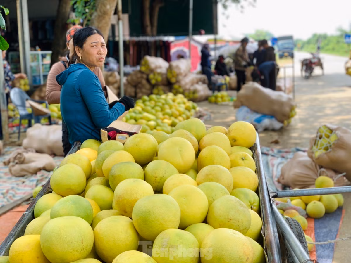 Bưởi Phúc Trạch lâu nay là một trong những cây trồng chủ lực, phát triển kinh tế chính của người dân huyện Hương Khê (Hà Tĩnh). Toàn huyện Hương Khê hiện có khoảng 2.700 ha trồng bưởi Phúc Trạch, chủ yếu tập trung ở các xã Phúc Trạch, Hương Trạch, Lộc Yên, Hương Thủy…