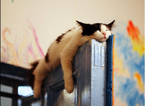 Ngủ thế này thì đóng cửa làm sao?