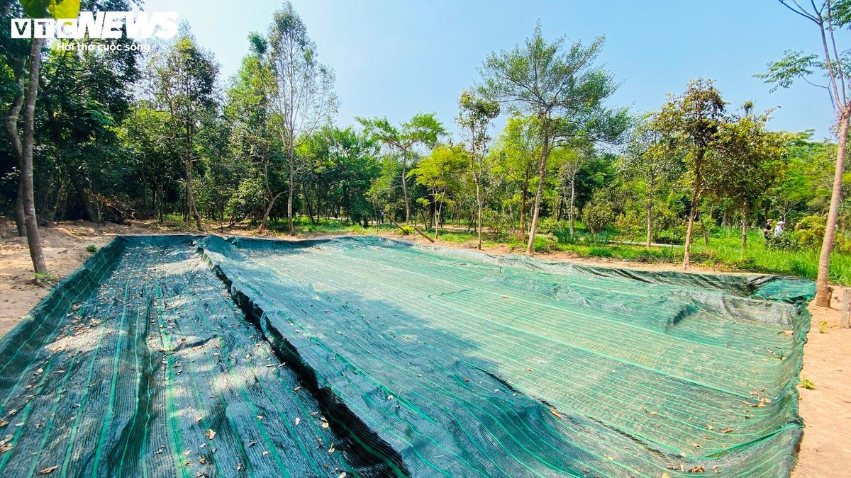 Kết quả thăm dò, khai quật cũng khẳng định có một con đường dẫn bắt đầu từ tháp K đi vào khu trung tâm Thánh địa Mỹ Sơn Mỹ Sơn ở thế kỷ XII, lần đầu tiên giới nghiên cứu khảo cổ - lịch sử trong nước và quốc tế được biết đến. Con đường này kéo dài trên một khoảng không gian hơn 500m, khởi đầu từ tháp K hướng đến khu vực sân trước tháp F. Nhóm nghiên cứu đã xác định con đường này có nhiều chức năng, gồm đường đi của các vị thần Ấn Độ giáo; con đường dành cho các vị vua chúa và tăng lữ Chămpa đi vào Thánh địa Mỹ Sơn Mỹ Sơn cúng tế các vị thần của họ.