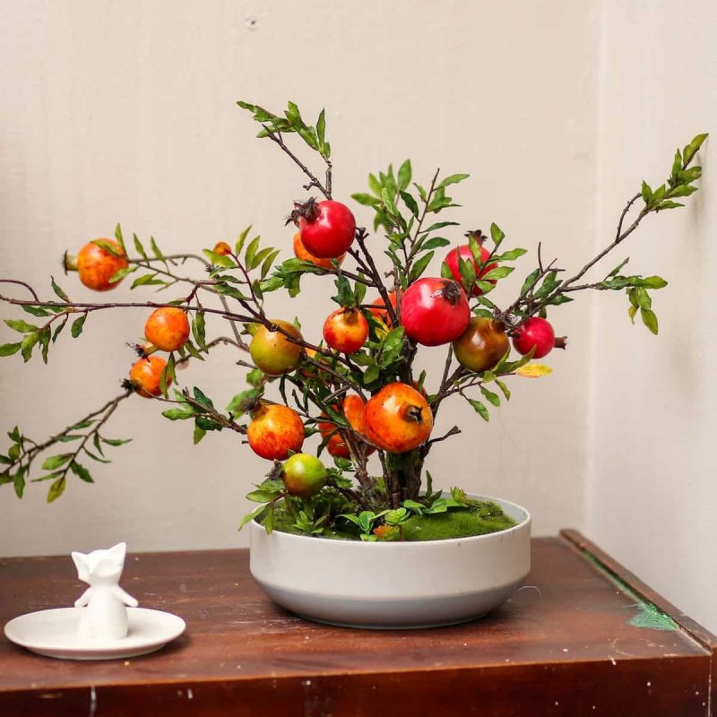 Cây cảnh này còn có tác dụng xua đuổi tà khí và âm khí ra khỏi nhà, khi chuyển hóa linh khí trong nhà, không khí sẽ trong lành hơn, người sống trong nhà cũng cảm thấy thoải mái.