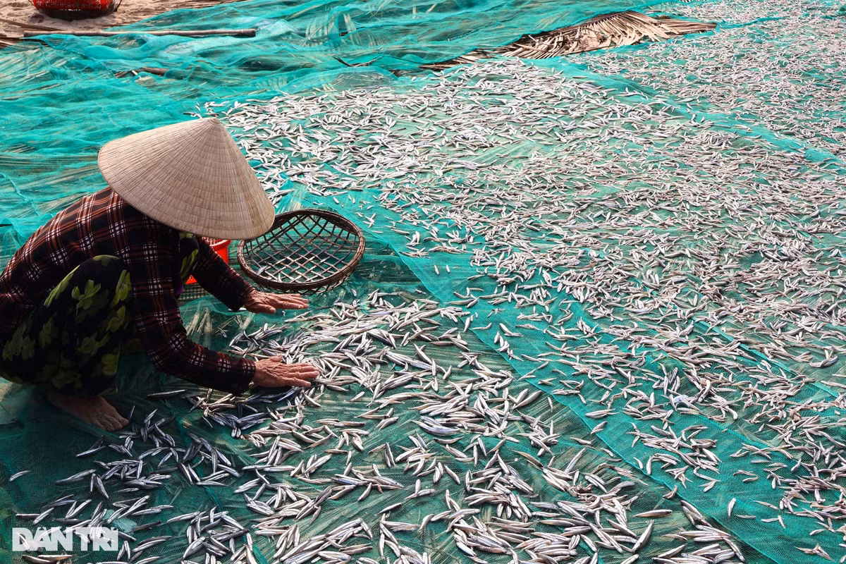 Nghề hấp cá tại xã Bình Minh có từ lâu đời, góp phần giải quyết việc làm cho nhiều lao động tại địa phương và các vùng lân cận. Mỗi ngày, xã Bình Minh cung ứng cho thị trường hàng tấn cá khô. Thành phẩm làm ra bao nhiêu được tiêu thụ hết bấy nhiêu, giá cả ổn định nên cư dân xã biển rất phấn khởi mỗi khi vào vụ hấp cá.