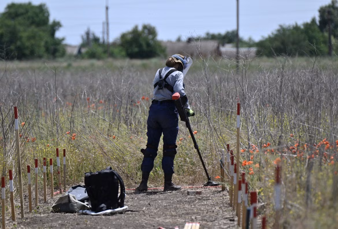 Trong ảnh, một nhân viên rà phá bom mìn của tổ chức phi chính phủ HALO Trust đang rà phá bom mìn trên cánh đồng.