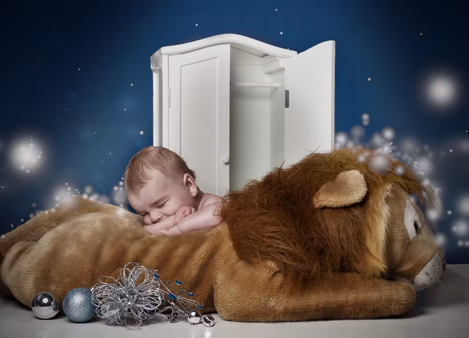 Casper (10 tuần tuổi) trong tác phẩm Vua Sư tử, the Witch and the Wardrobe