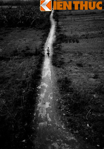 Một con đường nhỏ chạy dưới chân cầu.