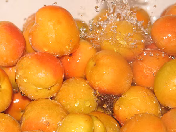 Quả mơ: Lớp vỏ màu vàng của quả mơ là sự hiện diện của carotenoids là chất chống oxi hóa mạnh giúp ngăn ngừa bệnh tim, cholesterol cao và ung thư. Không chỉ vậy, cơ thể còn chuyển hóa carotenoids thành vitamin A, giúp da và tóc khỏe mạnh.