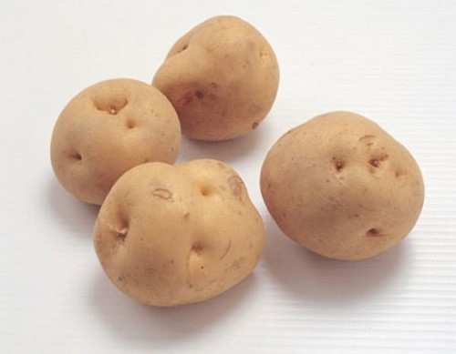 Sữa chua và khoai tây. Bạn hãy dùng 170g sữa chua, 2 giọt tinh dầu húng quế, 2 giọt tinh dầu bạc hà, nước cốt của 1 quả chanh, 1/2 viên men, 2 muỗng sup bột khoai tây( ngâm khoai tây vào nước khoảng vài giờ sau đó trộn với 2 muống sup sữa tươi). Tất cả hỗn hợp này bạn trộn đều chúng lại với nhau sau đó bôi lên vùng mụn, để trong vòng khoảng 10-20 phút thì rửa sạch lại bằng.