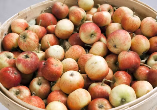 Táo là một trong số ít các loại trái cây có chứa pectin, chất tự nhiên làm chậm tiêu hóa và thúc đẩy cảm giác no lâu.