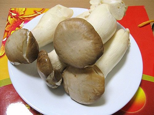 Nấm. Đây là loại thực phẩm rất bổ dưỡng với sức khỏe con người nói chung và sức khỏe bà bầu nói riêng. Tuy nhiên, nếu sơ ý ăn phải những loại nấm độc thì hậu quả sẽ khôn lường. Triệu chứng nhẹ khi ngộ độc nấm là đau đầu, đau bụng, tiêu chảy, nôn, nặng hơn, nó sẽ khiến bạn bị hôn mê, thậm chí tử vong. Không ăn những loại nấm mọc tự nhiên, không rõ nguồn gốc, xuất xứ, nhất là những loại nấm có màu sắc sặc sỡ.