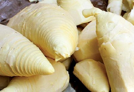 Măng tươi. Trong măng tươi có hàm lượng Cyanide rất cao, khoảng 230mg/kg măng củ. Khi người ăn phải măng có chứa nhiều Cyanide, dưới tác động của các Enzym đường tiêu hóa, Cyanide ngay lập tức biến thành Acid Cyanhydric (HCN), là một chất cực độc với cơ thể.