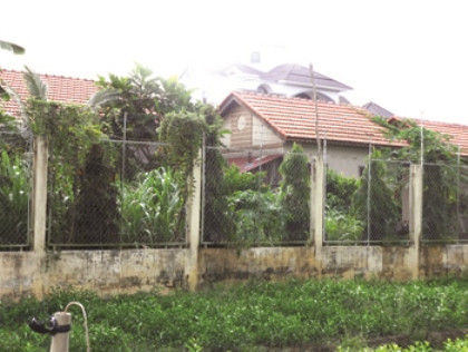 Nhà gỗ nhìn từ phía bên hông, “dự án gia đình” ông Truyền phía trong có 4 căn nhà gỗ kiểu biệt thự nhỏ, đều lợp ngói đỏ.