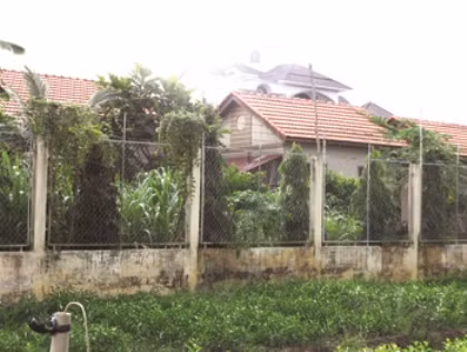 Nhà gỗ nhìn từ phía bên hông, “dự án gia đình” ông Truyền phía trong có 4 căn nhà gỗ kiểu biệt thự nhỏ, đều lợp ngói đỏ.