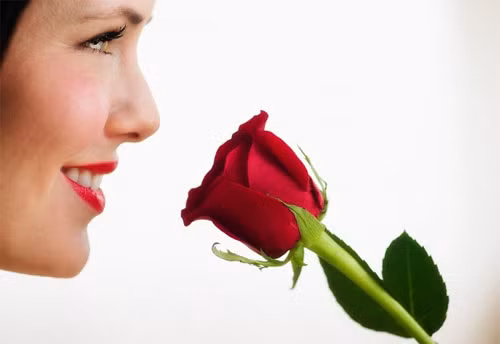 Cân bằng da. Ngâm mình trong bồn nước ấm với thật nhiều cánh hoa hồng vừa có tác dụng cân bằng da, vừa giúp cho tinh thần của bạn trở nên phấn chấn hơn, giảm stress khá hiệu quả.