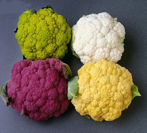 Súp lơ. Bạn cũng có thể sử dụng súp lơ để loại bỏ nốt ruồi bằng cách cắt một lát nhỏ súp lơ và sau đó cắt súp lơ thành miếng nhỏ hơn. Tiếp tục trích xuất nước súp lơ với sự giúp đỡ của một bộ xử lý thực phẩm. Áp dụng thoa nước ép súp lơ hàng ngày cho nốt ruồi muốn tẩy cho đến khi chúng biến mất.