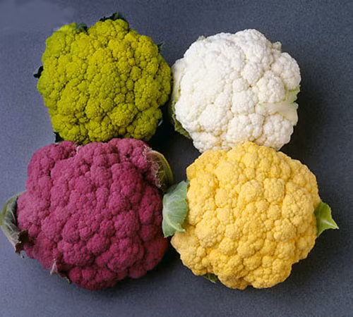 Súp lơ. Bạn cũng có thể sử dụng súp lơ để loại bỏ nốt ruồi bằng cách cắt một lát nhỏ súp lơ và sau đó cắt súp lơ thành miếng nhỏ hơn. Tiếp tục trích xuất nước súp lơ với sự giúp đỡ của một bộ xử lý thực phẩm. Áp dụng thoa nước ép súp lơ hàng ngày cho nốt ruồi muốn tẩy cho đến khi chúng biến mất.