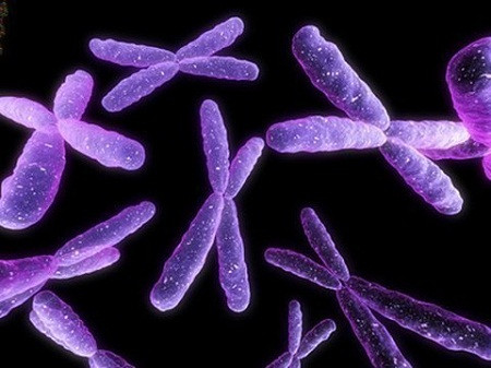 Các khuyết tật về gien phổ biến hơn. Vẻ ngoài của bạn chắc chắn trông trẻ trung và khỏe mạnh, nhưng ở cuối tuổi 30, trứng của bạn đã thuộc loại thâm niên, và chúng không phân chia tốt trong lúc thụ thai. Theo nhiều chuyên gia, điều đó gia tăng tỷ lệ xuất hiện một phôi thai có vấn đề về nhiễm sắc thể, do đó có thể dẫn đến sẩy thai hoặc sinh con khuyết tật.