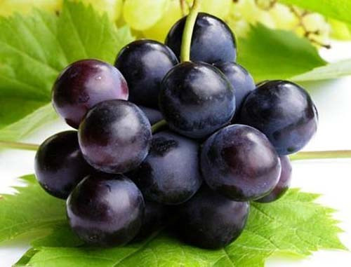 Nước nho: Một mẹo chống lão hóa tự nhiên tuyệt vời cho phái mạnh là đưa nước nho ép vào chế độ ăn uống thường xuyên. Nước nho ép có chứa chất chống ô xy hóa, giúp cải thiện tính đàn hồi của da và giữ cho da có vẻ ngoài tươi trẻ tự nhiên.