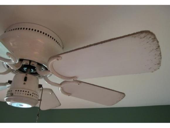 Tai sao canh quat lai bam nhieu bui du chung quay lien tuc?-Hinh-3