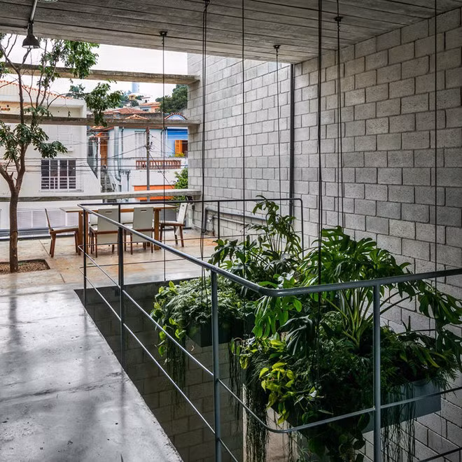 Điểm đặc biệt ở đây là cây trồng trên tầng lầu là loại cây lớn, có tán rộng.