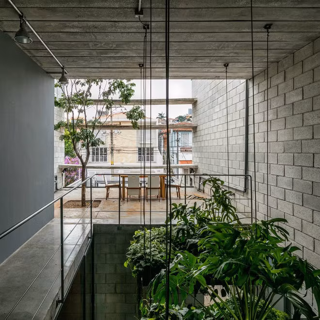 Kiểu cây này tất nhiên sẽ rất lý tưởng để tạo nên sự riêng tư cũng như cho bóng mát ở tầng 2, vốn sử dụng chất liệu tường kính. Nhưng tất nhiên, cũng đòi hỏi các KTS phải nghiên cứu kỹ về khả năng chịu lực. Tuy nhiên phải thừa nhận chính sự táo bạo này đã đem đến sự độc đáo, ấn tượng cho ngôi nhà.