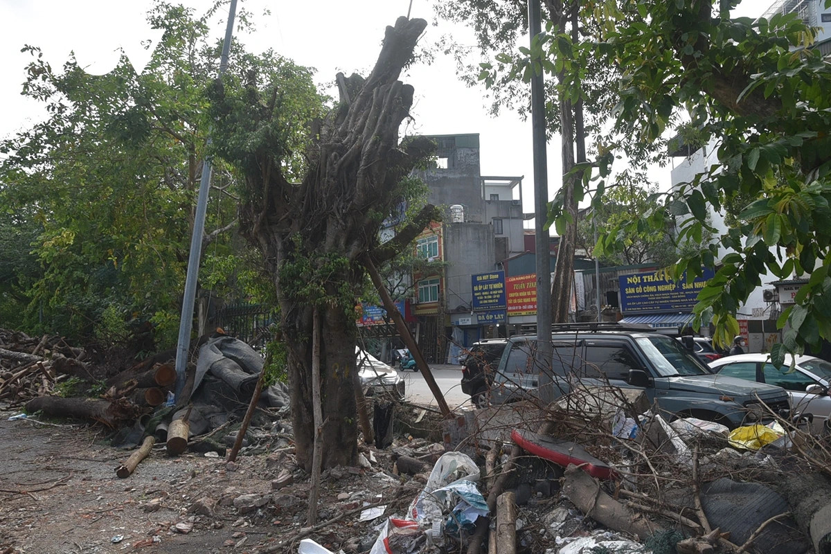 Xuất hiện tình trạng đổ rác sau tường rào khiến bên trong mất vệ sinh môi trường.