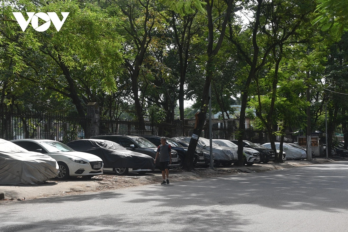 Sau khi được thành phố Hà Nội bàn giao cho quận Hai Bà Trưng đến nay các vi phạm về trật tự xây dựng đã cơ bản được xử lý. Hiện nay quận Hai Bà Trưng đang chủ động đầu tư cơ sở hạ tầng, lên kế hoạch cải tạo vỉa hè, hạ một phần rào trên tinh thần công viên mở để phục vụ người dân.