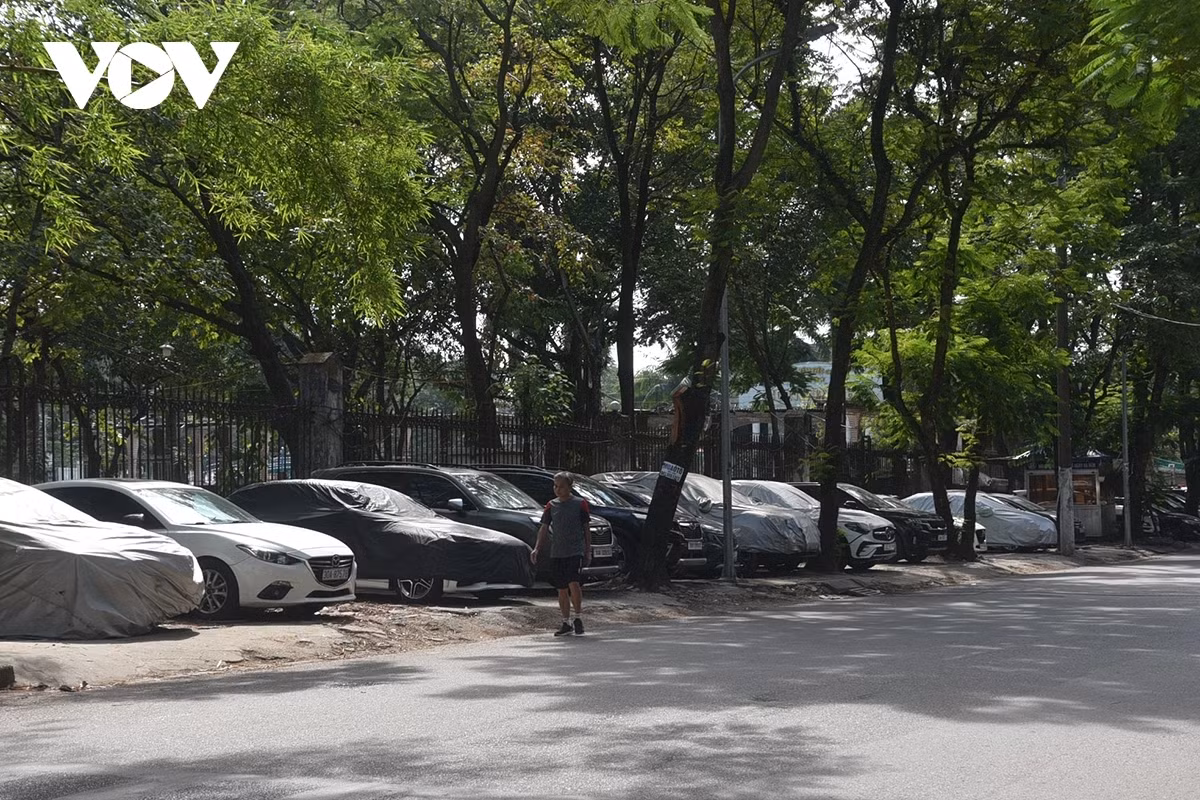 Sau khi được thành phố Hà Nội bàn giao cho quận Hai Bà Trưng đến nay các vi phạm về trật tự xây dựng đã cơ bản được xử lý. Hiện nay quận Hai Bà Trưng đang chủ động đầu tư cơ sở hạ tầng, lên kế hoạch cải tạo vỉa hè, hạ một phần rào trên tinh thần công viên mở để phục vụ người dân.