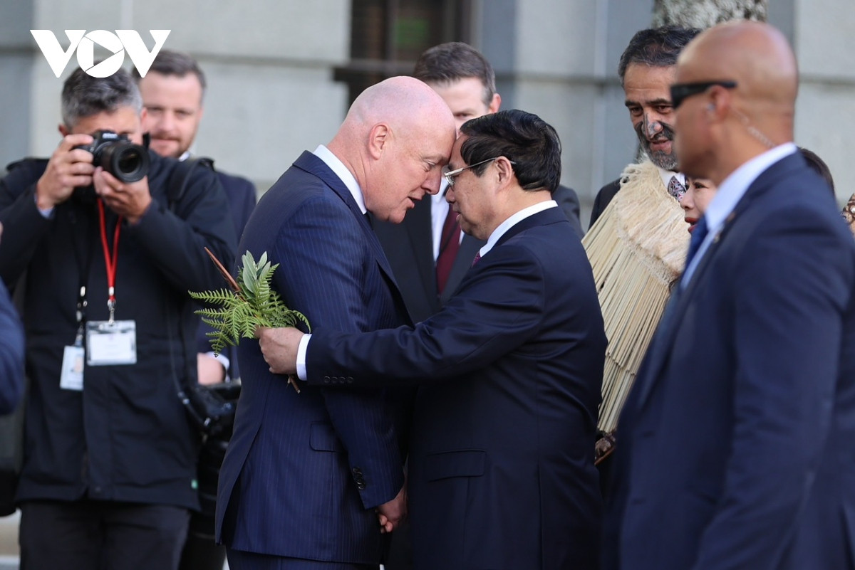 Chuyến thăm New Zealand lần này, Thủ tướng Chính phủ sẽ hội kiến, hội đàm với các lãnh đạo cấp cao của New Zealand để trao đổi về các biện pháp nhằm đẩy mạnh hơn nữa hợp tác song phương, trong đó thúc đẩy các lĩnh vực hợp tác trọng tâm, truyền thống như thương mại, đầu tư, đặc biệt là hợp tác về lao động, giáo dục - đào tạo, nông nghiệp…