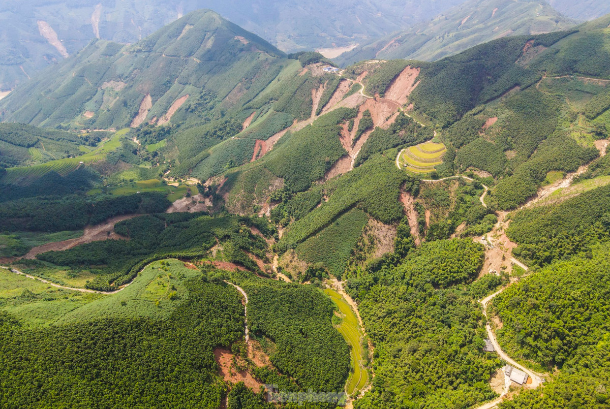 Đến nay, tuyến đường độc đạo từ trung tâm xã Nậm Lúc vào thôn Nậm Tông có hàng chục điểm sạt lở. Ngành chức năng địa phương đang huy động máy móc, san gạt, sớm thông tuyến đường, phục vụ việc hỗ trợ, tiếp tế cho người dân và công tác tìm kiếm.