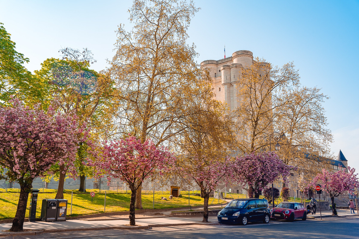 Chụp ảnh "dạo" ở Pháp, chàng trai Việt kiếm trăm triệu đồng - Hình 5 Chup anh