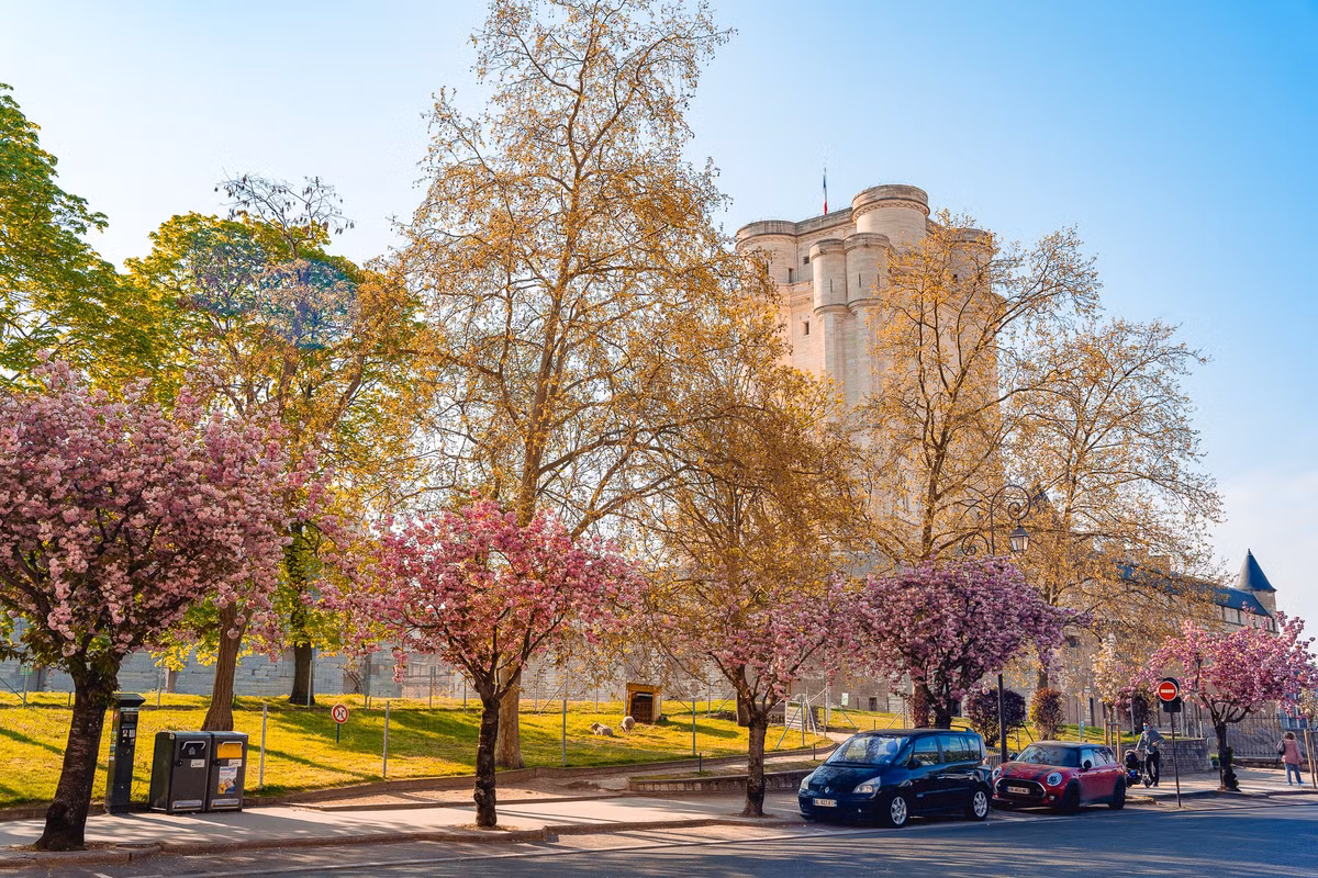 Chụp ảnh "dạo" ở Pháp, chàng trai Việt kiếm trăm triệu đồng - Hình 5 Chup anh