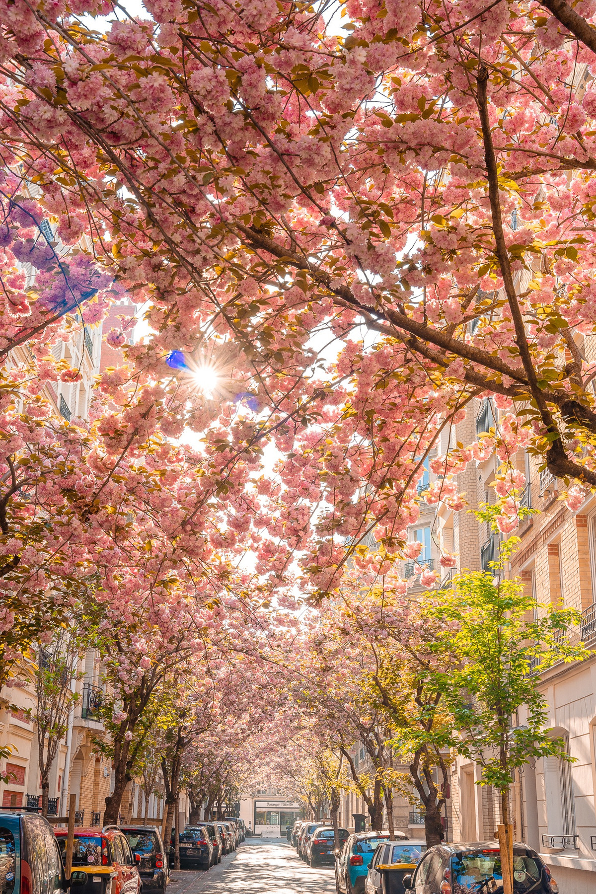 Chụp ảnh "dạo" ở Pháp, chàng trai Việt kiếm trăm triệu đồng - Hình 6 Chup anh