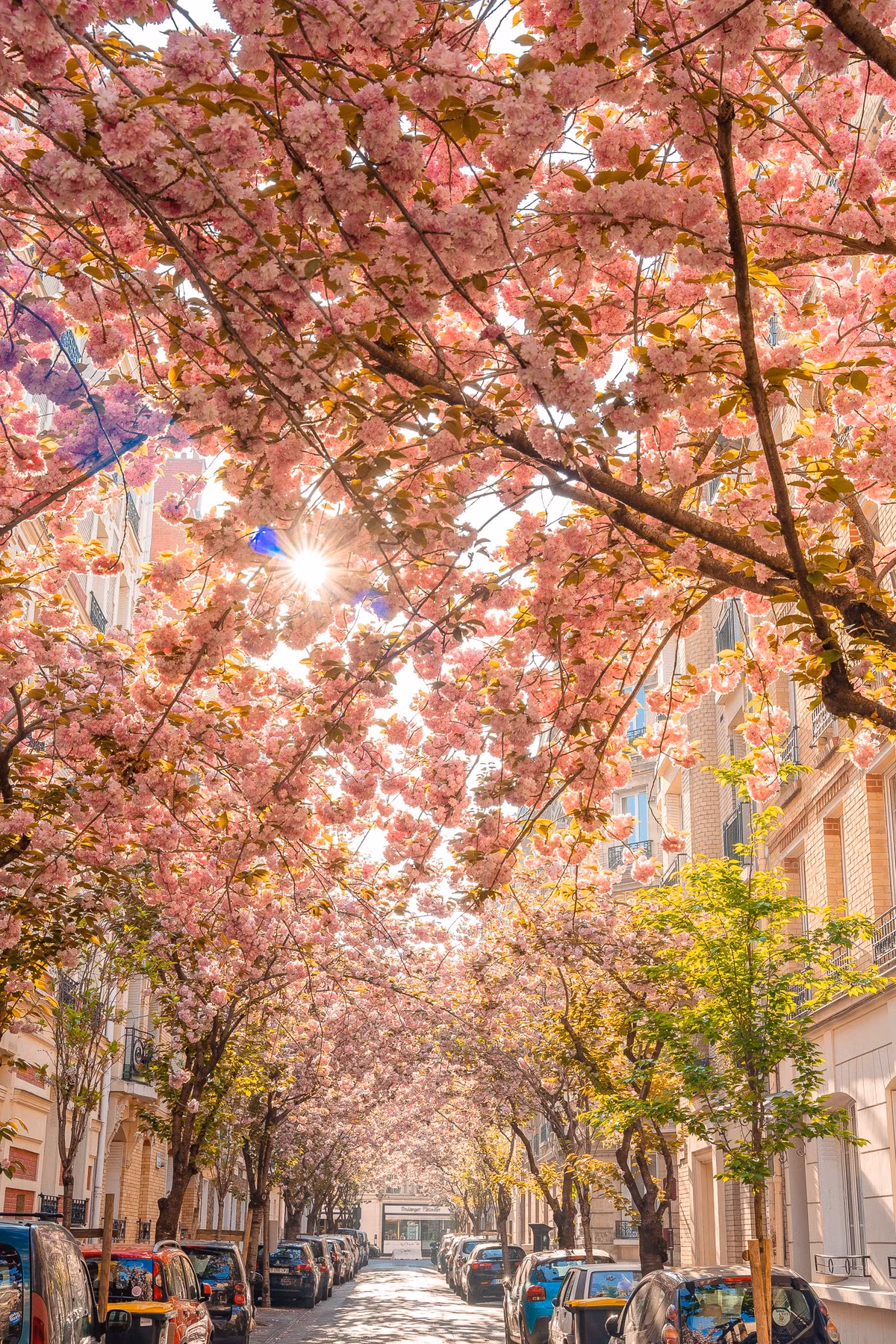 Chụp ảnh "dạo" ở Pháp, chàng trai Việt kiếm trăm triệu đồng - Hình 6 Chup anh