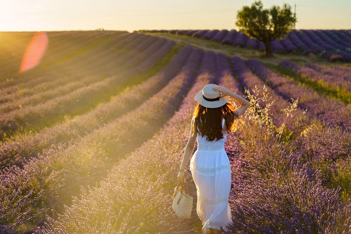 Chụp ảnh "dạo" ở Pháp, chàng trai Việt kiếm trăm triệu đồng - Hình 9 Chup anh