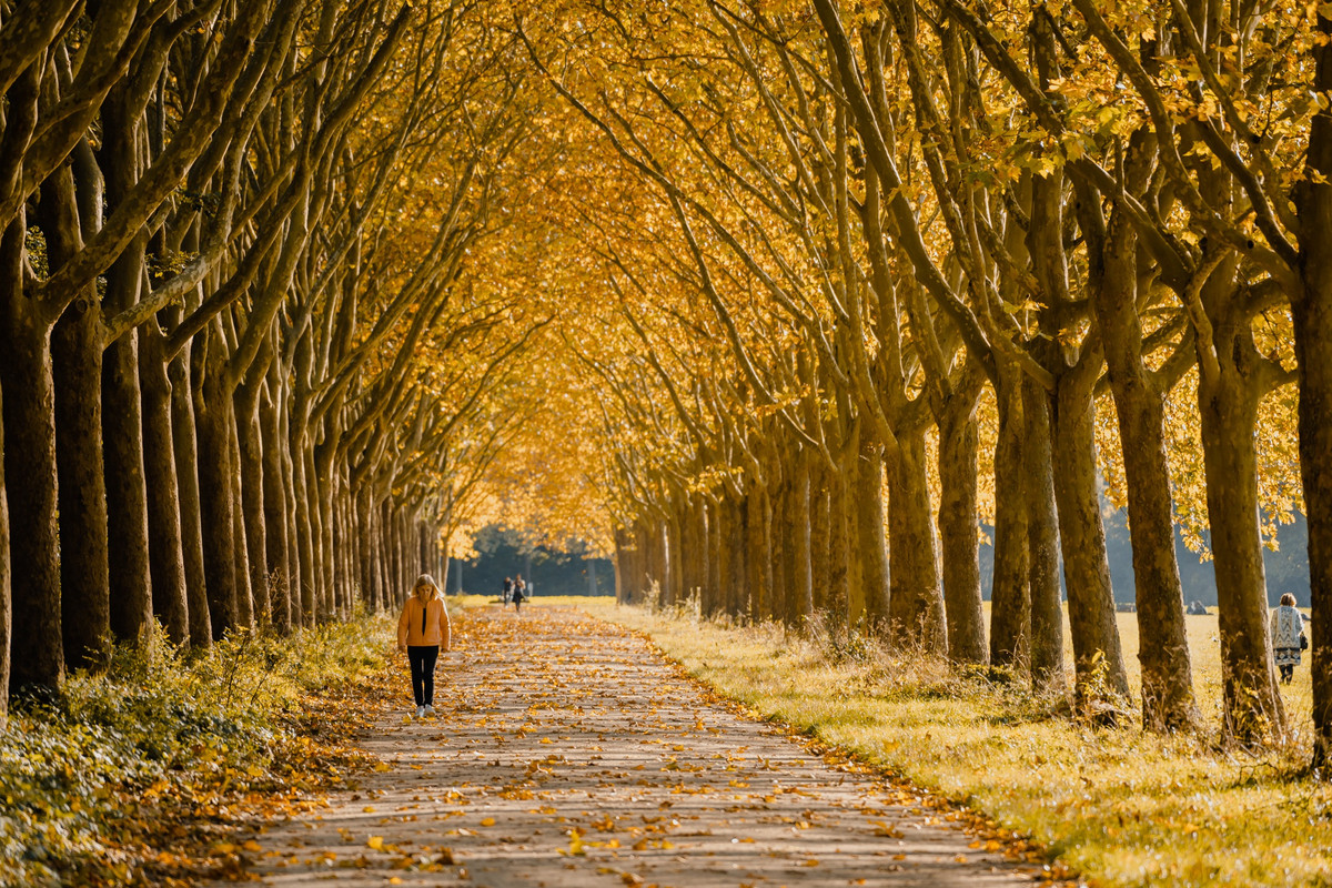 Chụp ảnh "dạo" ở Pháp, chàng trai Việt kiếm trăm triệu đồng - Hình 11 Chup anh