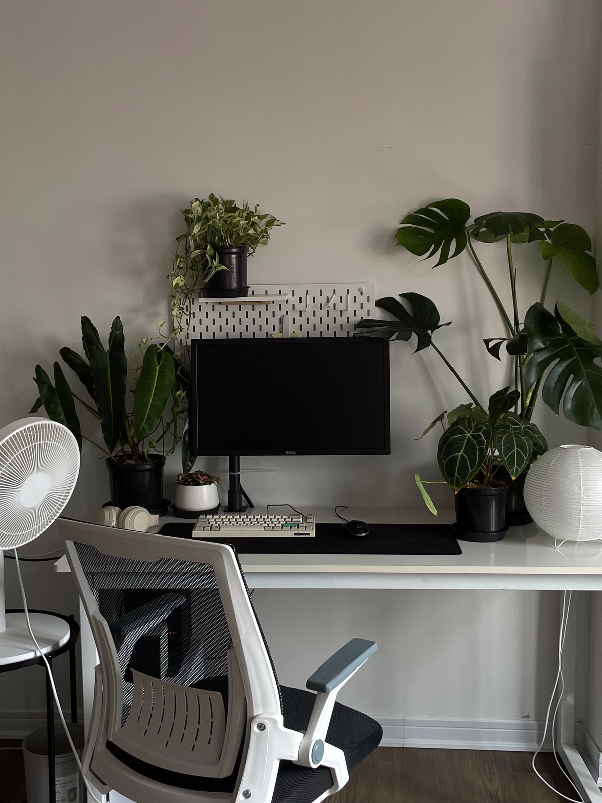 Toàn Thắng trang trí phòng theo phong cách Minimalism. Cậu bạn chủ yếu sử dụng những món đồ tối giản, dễ di chuyển và kết hợp phong cách nhiệt đới (tropical) vì thích cây xanh, hoa lá.