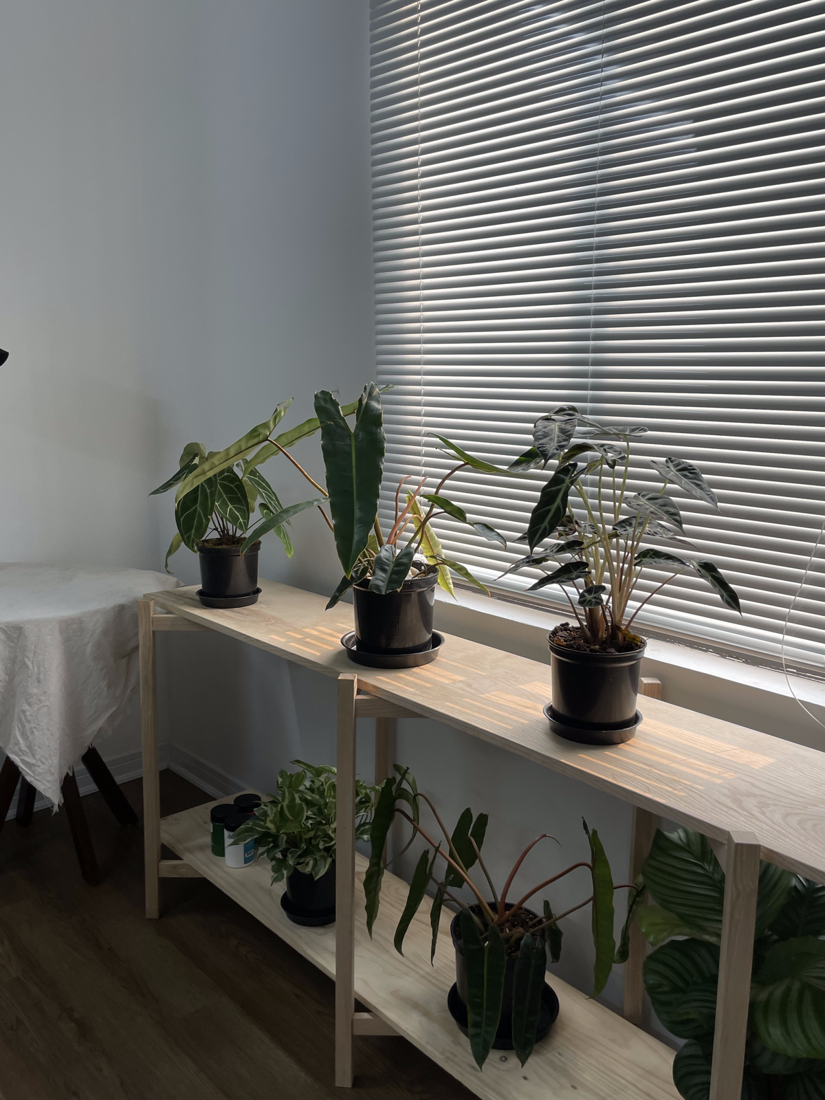 Căn phòng của Toàn Thắng có tông màu chủ đạo là trắng và gỗ. Màu trắng đến từ những đồ nội thất như đèn, bàn học, ghế, rèm cửa và điều hòa. Còn màu gỗ là từ kệ dành cho cây cảnh cũng như sàn nhà. Điều này giúp không gian mang màu sắc hiện đại nhưng vẫn vô cùng ấm cúng. Những đồ nội thất độc đáo như đèn hình tròn hay ghế lười màu đen êm ái cũng giúp không gian có điểm nhấn hơn. 