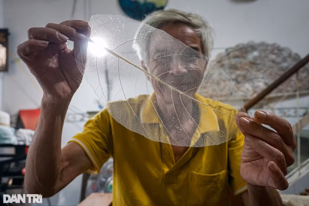 Nguoi dan ong tam huyet voi non la bang rung doc dao xu Hue-Hinh-2