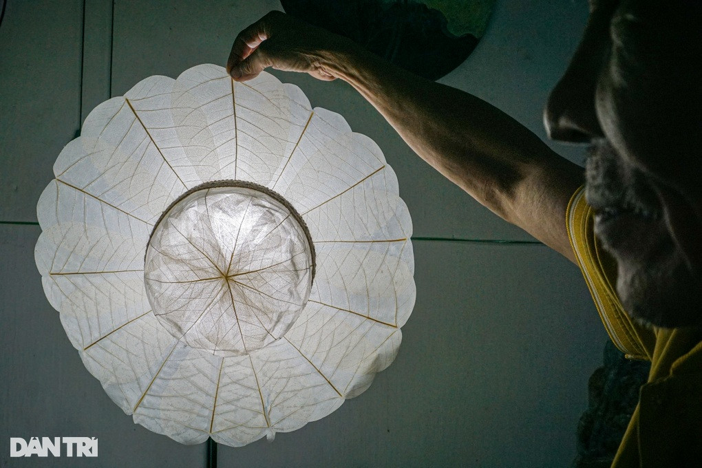 Nguoi dan ong tam huyet voi non la bang rung doc dao xu Hue-Hinh-3